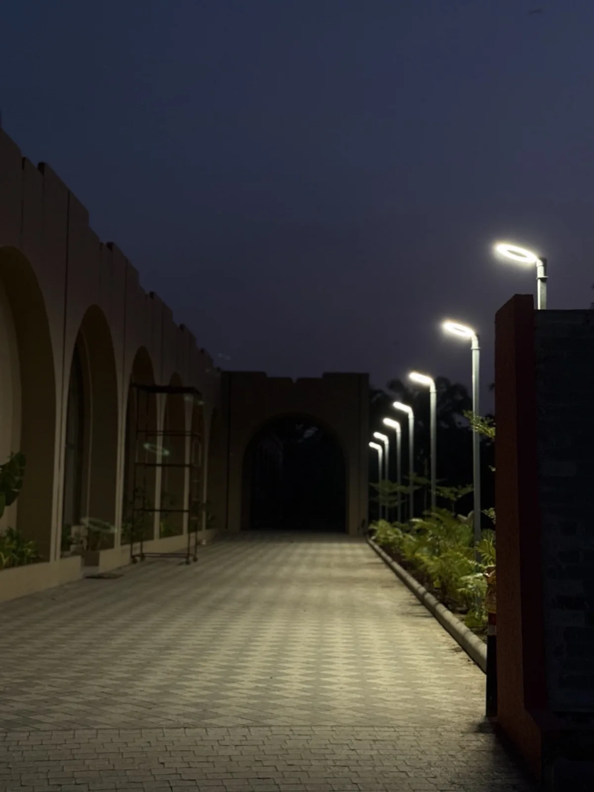 A lit walkway on the property at night